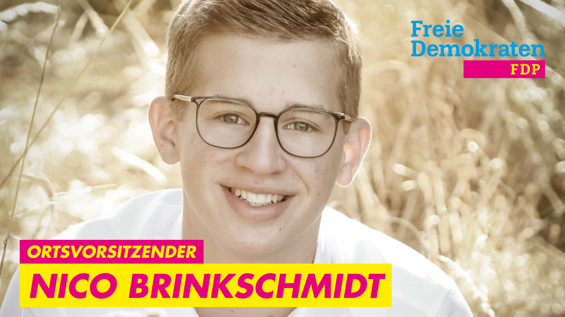 FDP Metelen